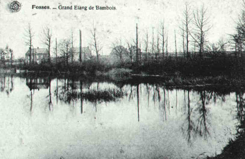 Le grand tang ( Bambois).